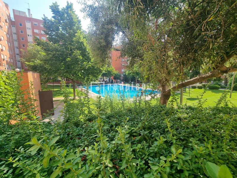 Foto 0baa8c10-175c-4349-89c9-4e4559e3c2fe. Pis amb calefacció aparcament piscina a Valdebernardo-Valderribas Madrid