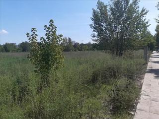 Residential Plot  Carrer de sant gregori