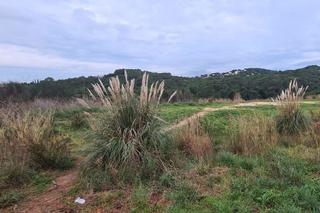Residential Plot  Carrer l'anoia