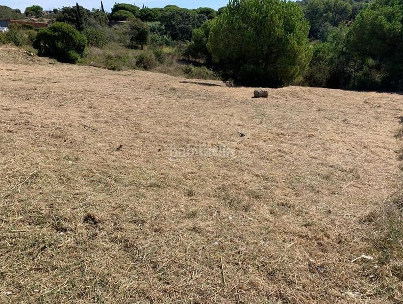 Foto 1a1afa48-88a8-479f-9496-aa24e479218c. Terreny residencial a Mont Ferrant-Joan Carles I Blanes