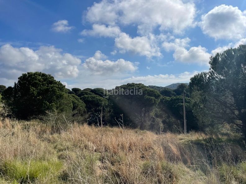Foto c05e417d-d668-42e1-ae3f-4eaa5eb3b3ed. Terreny residencial a Mont Ferrant-Joan Carles I Blanes