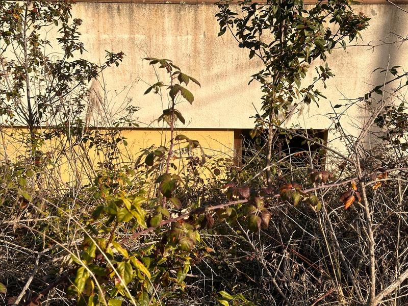 Foto bba9f1d8-0610-440b-9e0a-a965d1b968f1. Maison dans Montbarbat Maçanet de la Selva