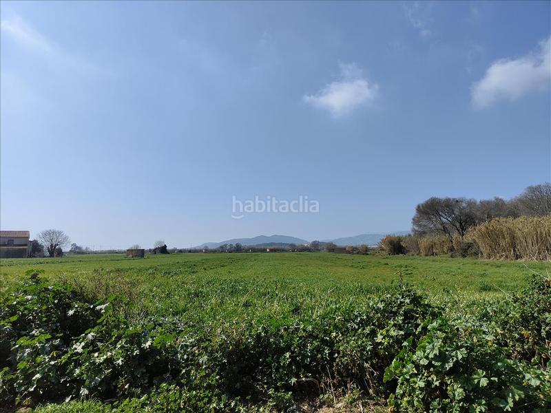 Foto b46d5553-a55d-44de-999d-b8b4352d76f6. Local commercial dans Els Pins Blanes