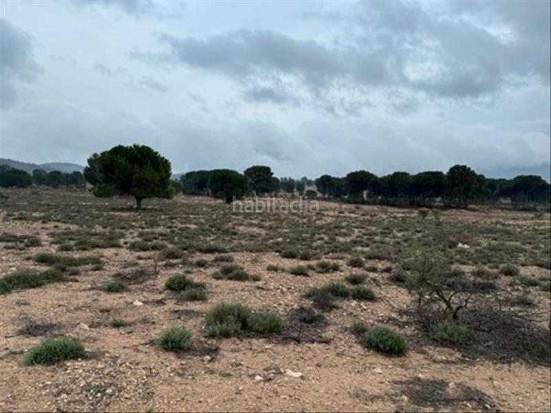 Foto ae026d8a-4706-47e1-b113-0fdc77c355b4. Terreny residencial a Salinas