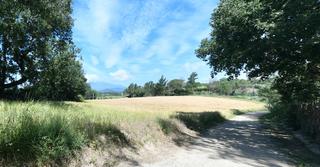 Terrain résidentiel  Carrer de l'om