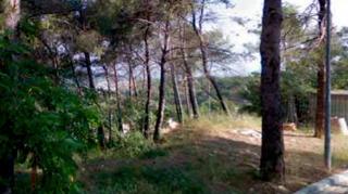 Terrain résidentiel à Carrer Principat de Catalunya