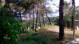 Terreno residenziale  Carrer principat de catalunya