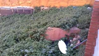 Terrain résidentiel  Carrer de víctor balaguer