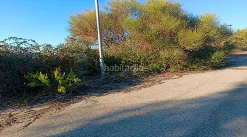 Foto 874d19e6-1a94-46d2-85b6-d444a6cf28b4. Wohngrundstück in Secuita (La)