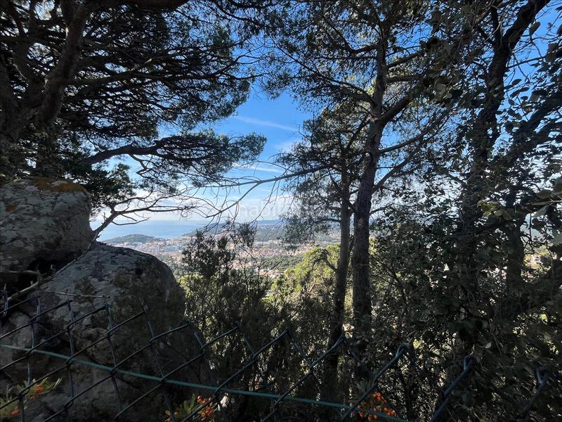 Foto 079b7fc7-358b-4508-8f92-916614853768. Terreno residencial en Roca Grossa Lloret de Mar