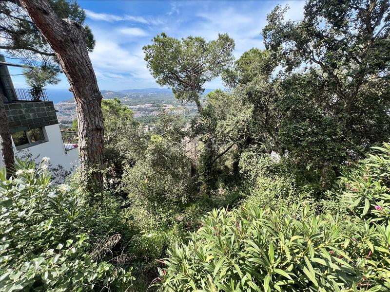 Foto 112e9cf1-372a-4807-811c-39ac50a319fa. Terreno residencial en Roca Grossa Lloret de Mar