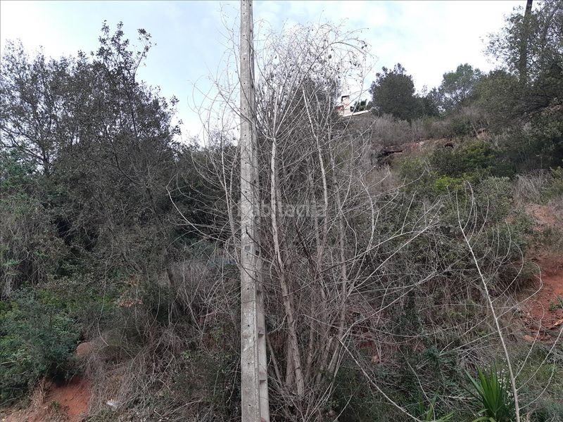 Foto 37ef4511-6526-4ac5-bf74-e1c6478ef44e. Terreny residencial a Torrelles de Llobregat