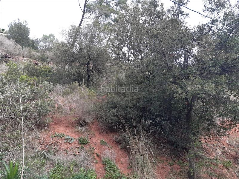 Foto dd078eae-92a8-4c9f-a232-f3276d63868b. Terreny residencial a Torrelles de Llobregat