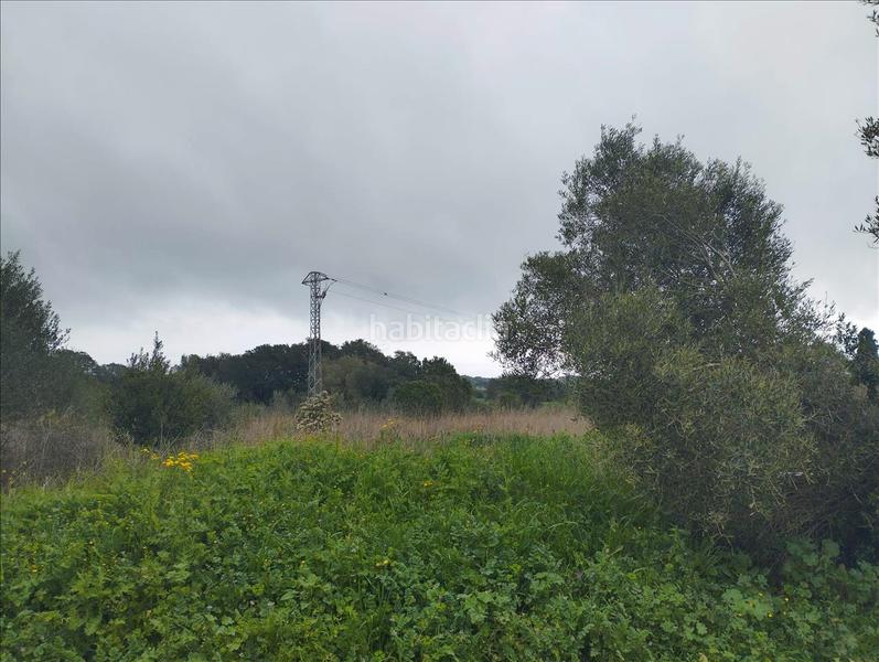 Foto 4166734e-b627-4c7f-a13a-06ce791dc860. Wohngrundstück in Piverd-Vila-Seca-Bruguerol Palafrugell