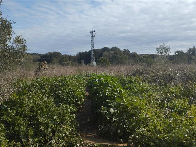 Foto 5eabe66d-9345-4f59-9abf-c4c21ff01428. Wohngrundstück in Piverd-Vila-Seca-Bruguerol Palafrugell