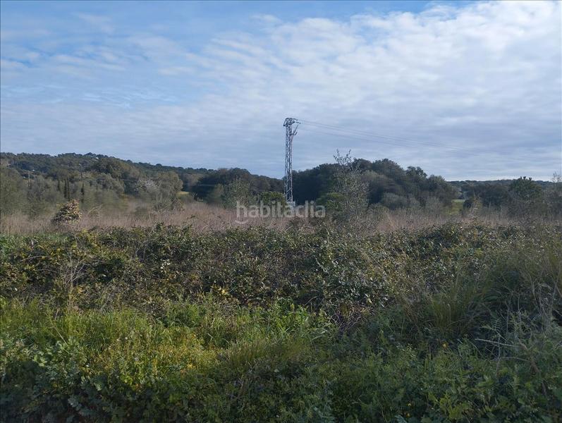 Foto a01affda-7c14-4854-843f-8d76ed9d7f8f. Wohngrundstück in Piverd-Vila-Seca-Bruguerol Palafrugell