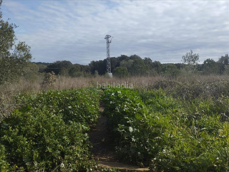 Foto 5eabe66d-9345-4f59-9abf-c4c21ff01428. Residential plot in Piverd-Vila-Seca-Bruguerol Palafrugell