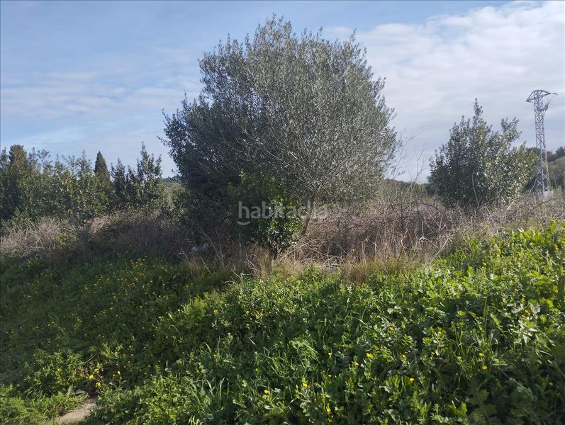 Foto cfbd9f45-246e-4f58-8136-d5bcadbfd021. Residential plot in Piverd-Vila-Seca-Bruguerol Palafrugell