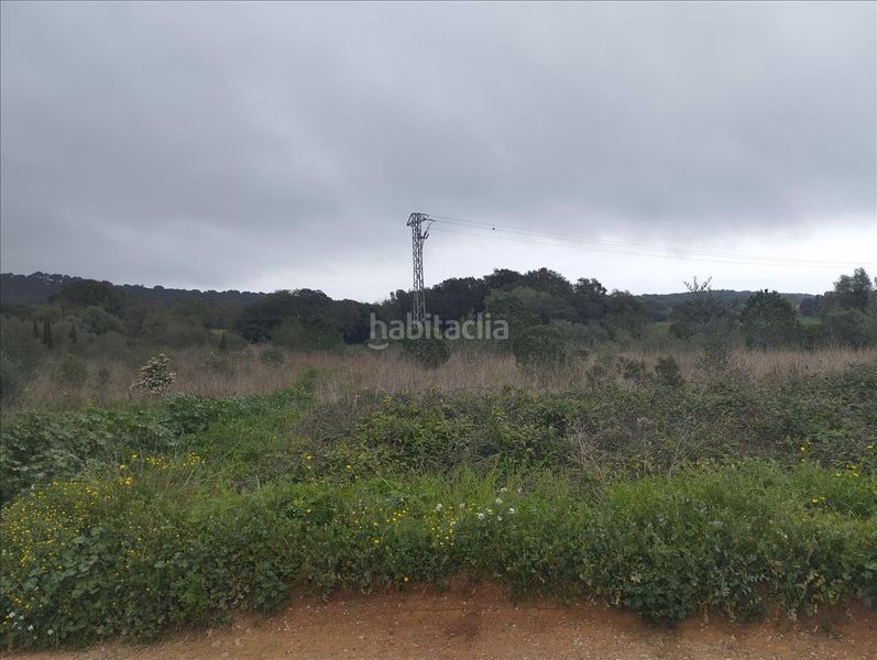 Foto eddc34d7-cb97-4c79-af13-2ff3d0566fc7. Residential plot in Piverd-Vila-Seca-Bruguerol Palafrugell