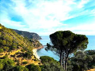 Residential Plot  Carrer via rosamar