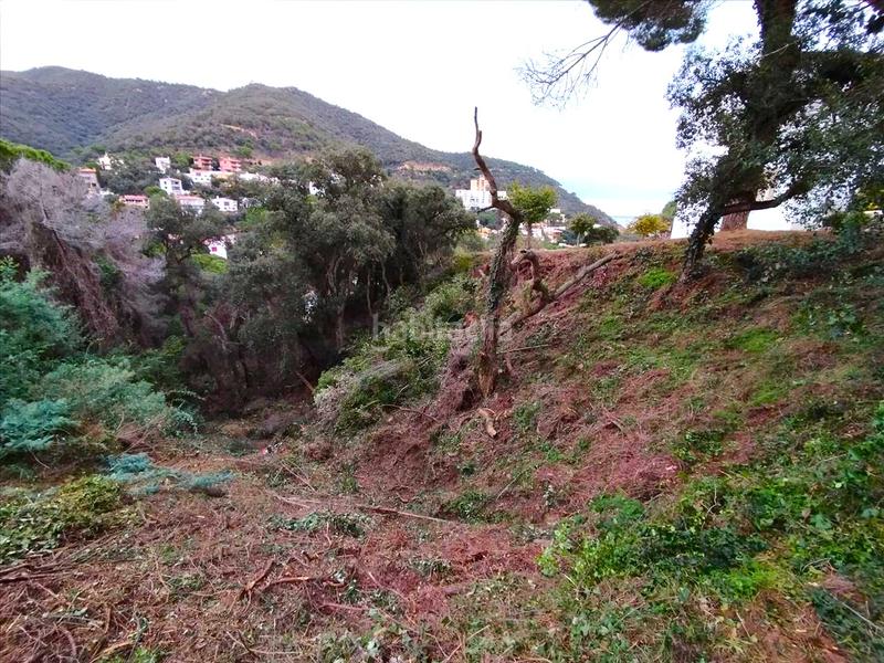 Foto b7b19e70-e7ef-477e-84a4-5ad2df82bdc3. Terrain résidentiel dans Rosamar Santa Cristina d´Aro