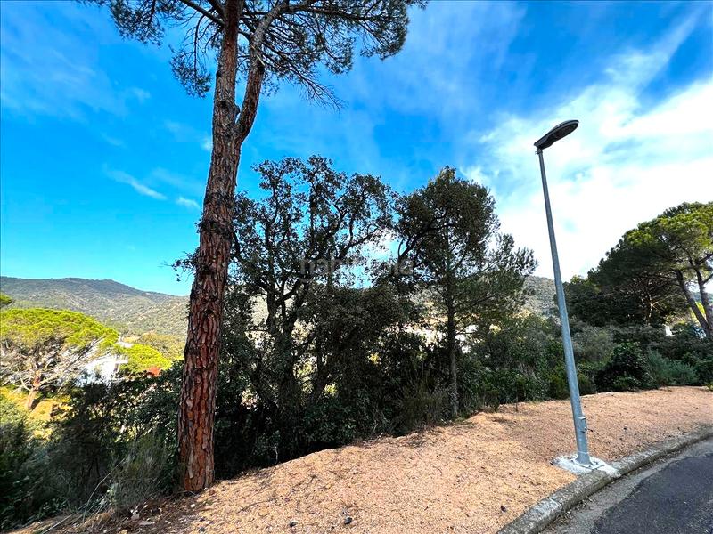 Foto 458a59f4-6678-4752-b43d-2b67acab3dab. Terreno residenziale in Rosamar Santa Cristina d´Aro