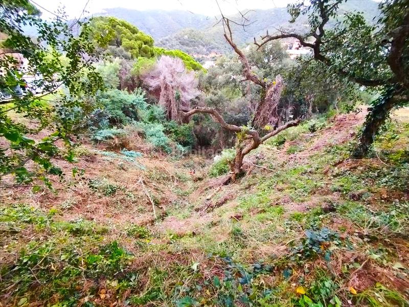 Foto a4f4d39e-4db5-4628-a48c-9430b54e7f20. Terreno residenziale in Rosamar Santa Cristina d´Aro