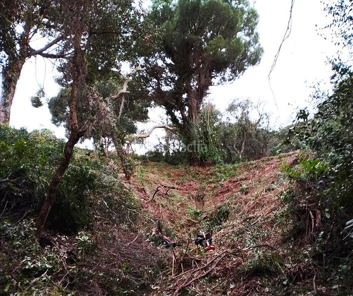 Foto 6c5d4a84-bca8-482f-8967-849a423c87be. Wohngrundstück in Rosamar Santa Cristina d´Aro