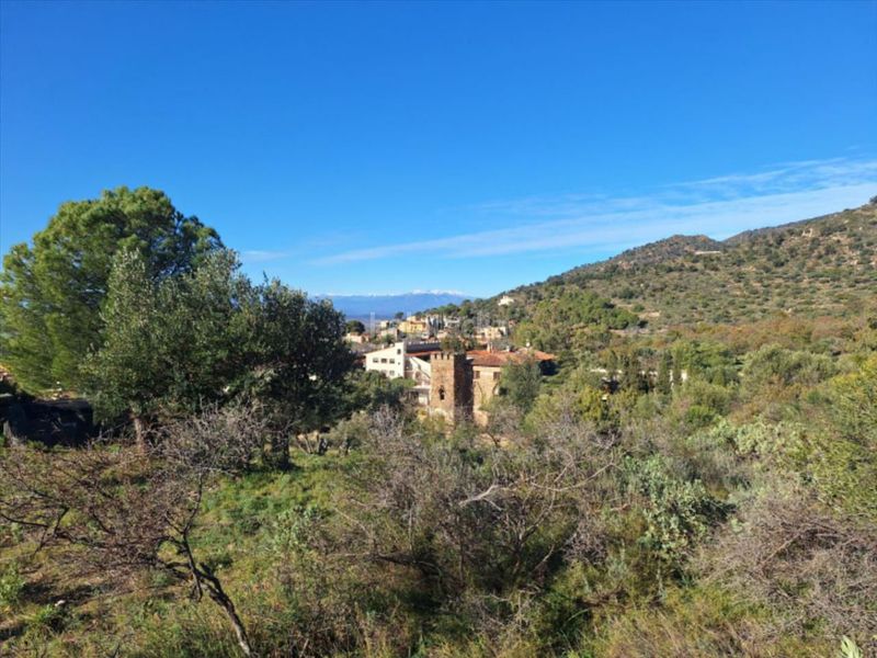 Foto 002f1c52-1cdc-428d-ac5c-83d1a71a05cf. Terreny residencial a Palau-saverdera