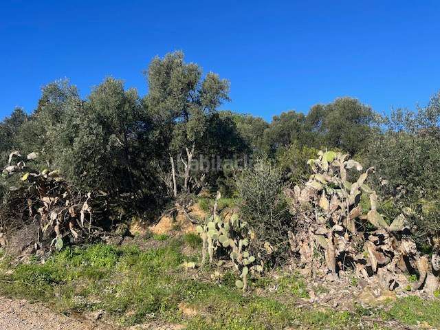 Foto 4c264017-a10e-4a8e-833a-389852816a99. Terreny residencial a Palau-saverdera