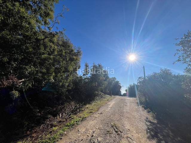 Foto 5fb85a94-3f12-4de0-9a19-fd39d1307303. Terreny residencial a Palau-saverdera