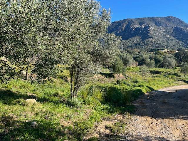 Foto 73bafe36-2a26-45a1-9d65-3f0e1f9cb44e. Terreny residencial a Palau-saverdera
