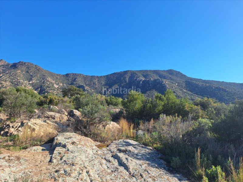 Foto 79993887-11f5-4024-b772-d4e63afa29b4. Terreny residencial a Palau-saverdera