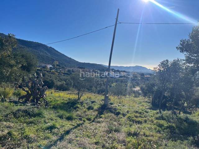 Foto 80153715-8eb4-4e36-a364-0d926f3ee9bf. Terreny residencial a Palau-saverdera