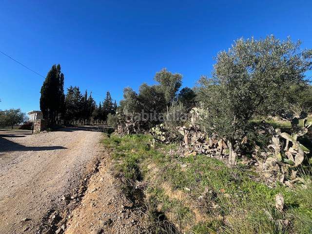 Foto a66b0fc6-e4cd-4e7e-840c-66420c016ca4. Terreny residencial a Palau-saverdera