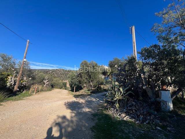 Foto f46ccd17-299b-409c-87d6-dde42aad99c2. Terreny residencial a Palau-saverdera