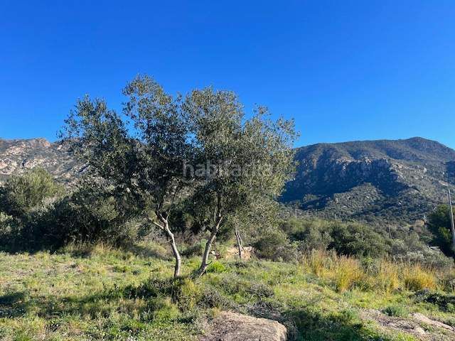 Foto fe71b7ad-6359-4c42-af8b-59034fe1582e. Terreny residencial a Palau-saverdera