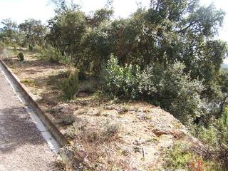 Terreny residencial  Carrer roura