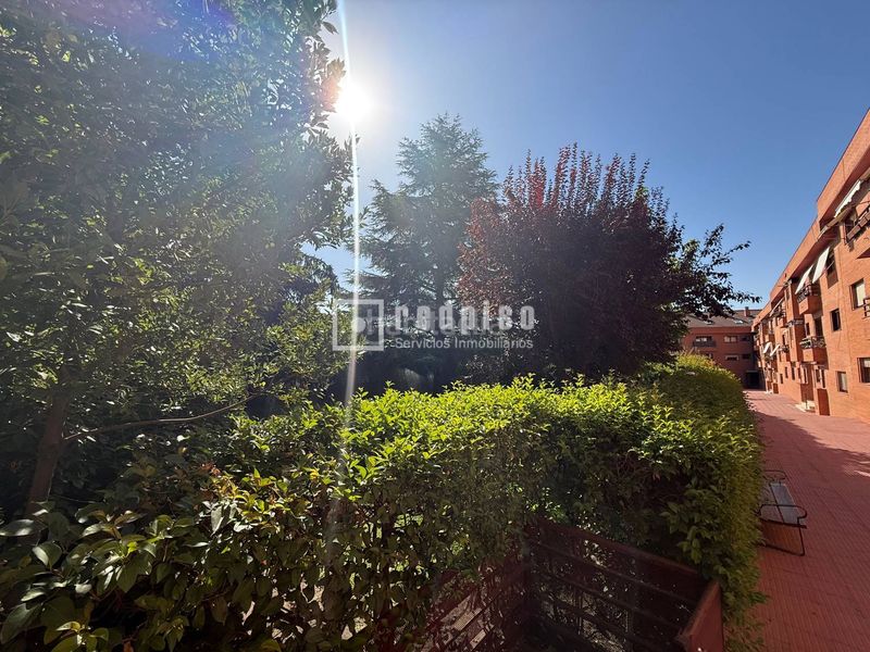 Foto f3b78edc-016d-48d9-be1f-a9f51a2fc890. Flat in del risco de los claveles 5 in Aravaca Madrid