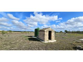 Terreny residencial  S´ hort nou. Parcela rústica para uso agrario, no urbanizable, con pozo de ve