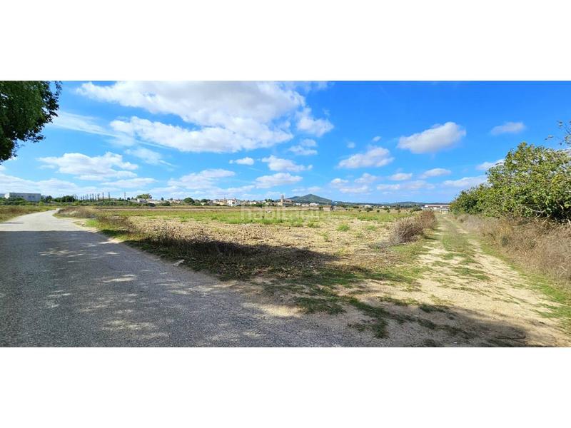 Foto 1c53d398-9f46-4a0a-8c18-da754b62215a. Terreny residencial a Petra