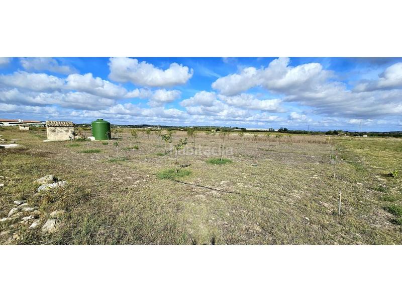 Foto 2b56fd31-fa5c-439a-a0ee-baa1ca454fe5. Terreny residencial a Petra