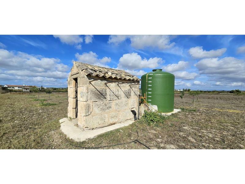 Foto 45810760-651c-4535-9bd4-de753d765d28. Terreny residencial a Petra