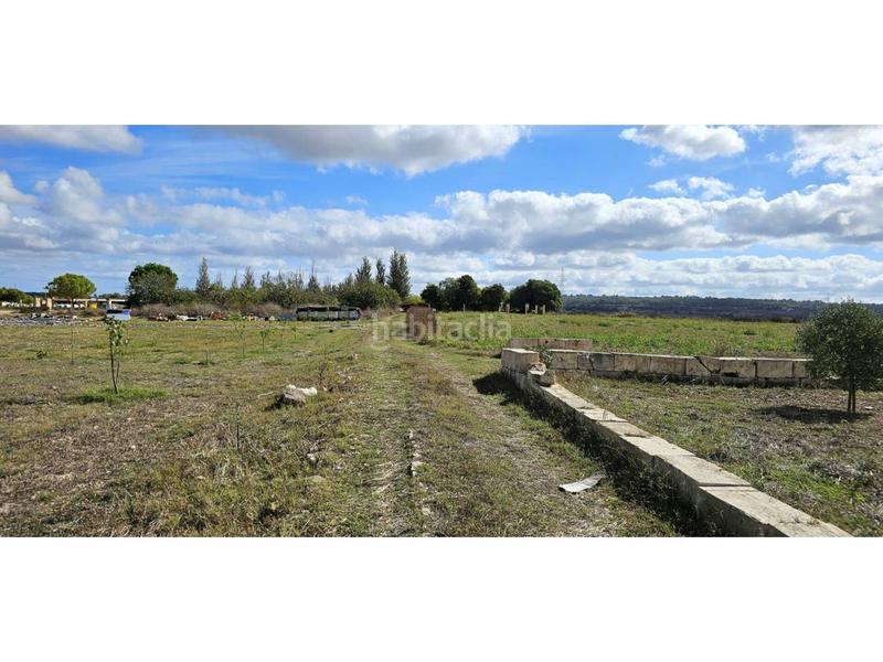 Foto 47bf74e5-468c-4a2b-9079-f1c90c0baa77. Terreny residencial a Petra