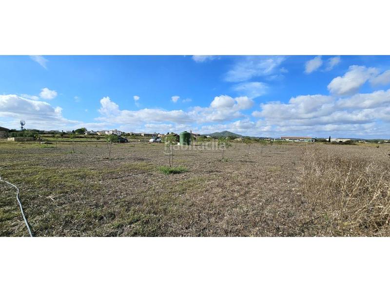 Foto 76abaefc-4eba-4bfc-b2b5-6d2180cd0b56. Terreny residencial a Petra