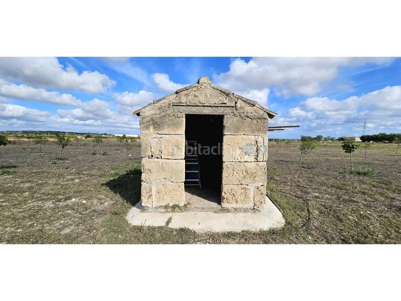 Foto bf3e8090-c797-4087-8163-a60e53ba1b3a. Terreny residencial a Petra