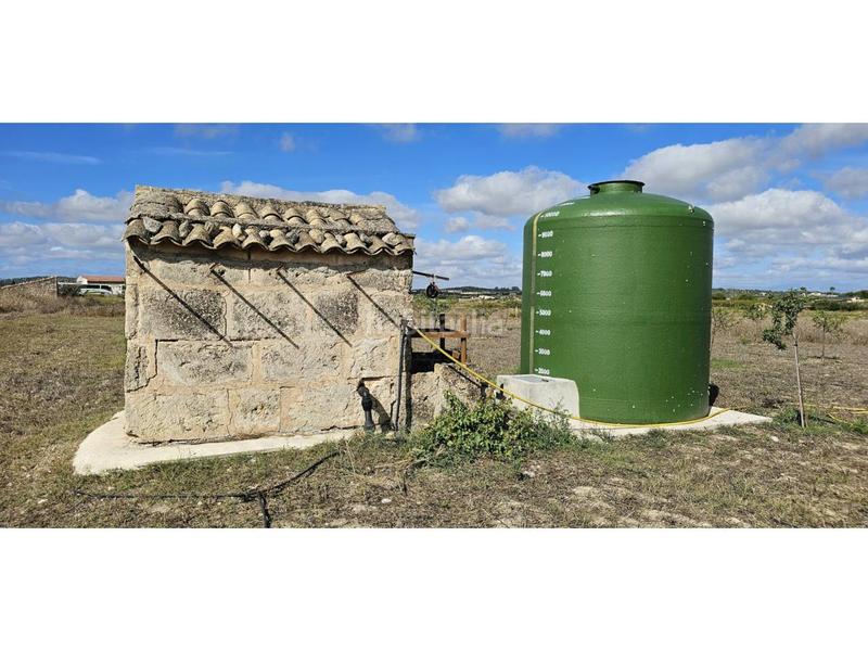 Foto ce7af20b-4c9f-4aad-a08a-ac90049b222f. Terreny residencial a Petra