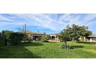 Bauernhof in Camino biniagual 1. Una bonita finca con piscina y �rboles frutales en binissalem