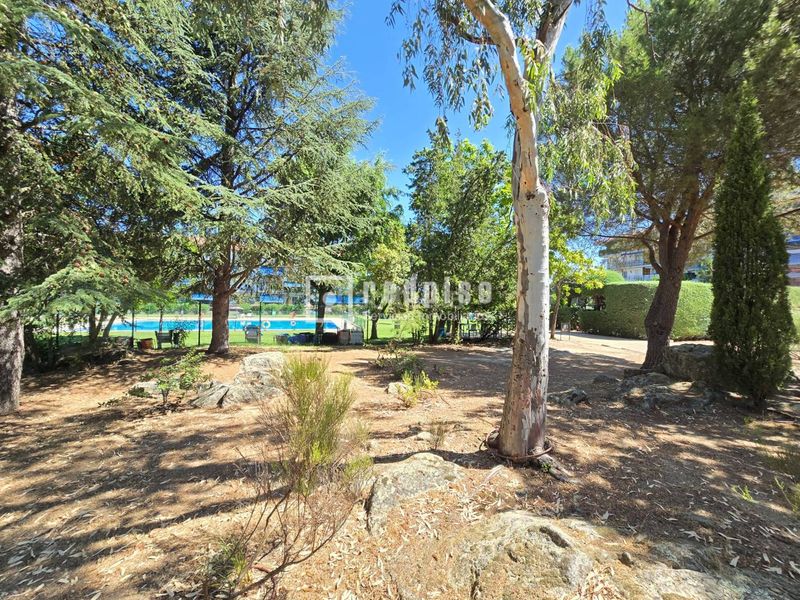Foto ef939afa-d9ae-41dc-94e2-e76c021cf287. Pis amb calefacció aparcament piscina a Parque de la Coruña-Las Suertes Collado Villalba
