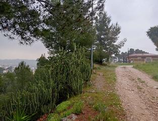 Terreny residencial a Catadau